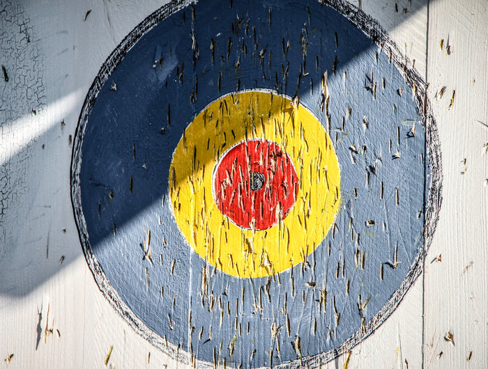 <h2>Our Mission</h2>